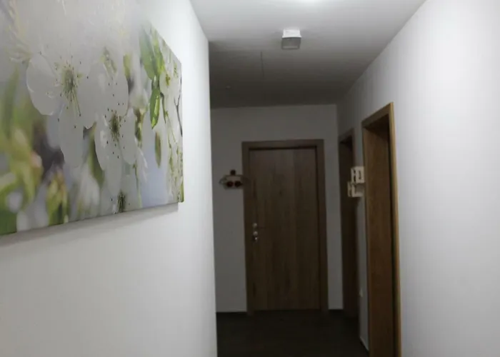 Vdovic Bauernhof Svecina